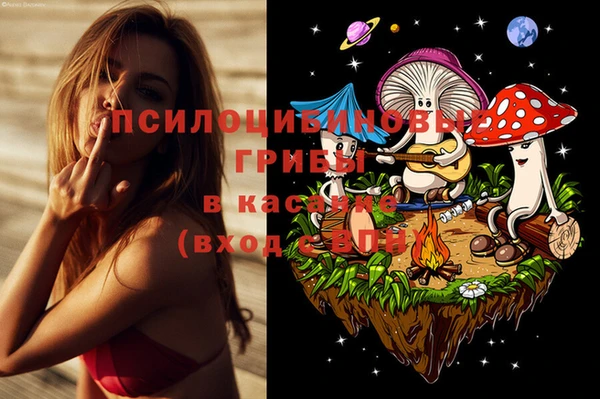 тгк Бородино
