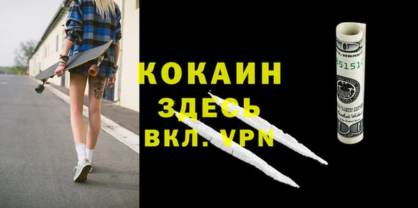 тгк Бородино
