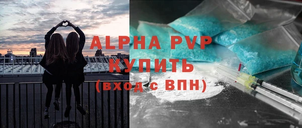 тгк Бородино