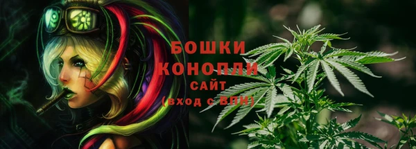 гидропоника Бронницы